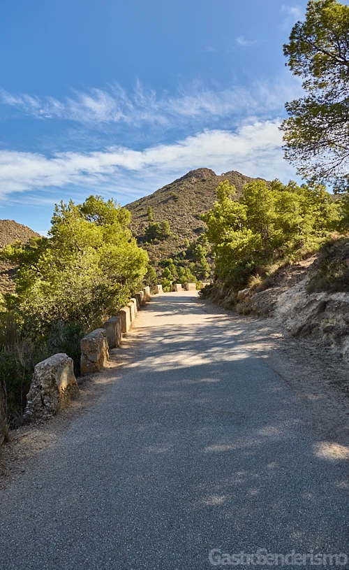 Ruta asfaltada al Faro del Albir con sus característicos pretiles de piedra y pinos en la Serra Gelada