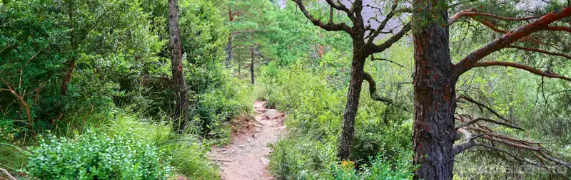 Sendero en la ruta a la cascada de Orós Bajo en Huesca