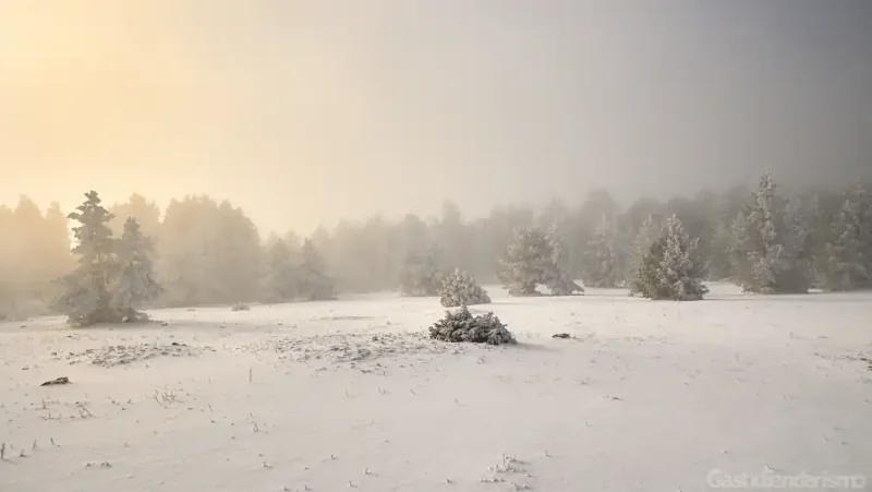 Paisaje nevado en Valdelinares en Teruel durante una ruta de senderismo