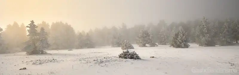 Paisaje nevado en Valdelinares en Teruel